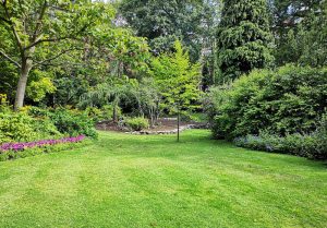 Optimiser l'expérience du jardin à Chambornay-les-Bellevaux