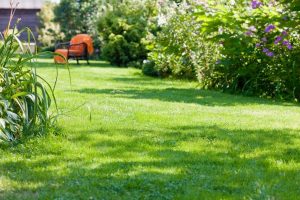 travaux jardin et paysage Chambornay-les-Bellevaux